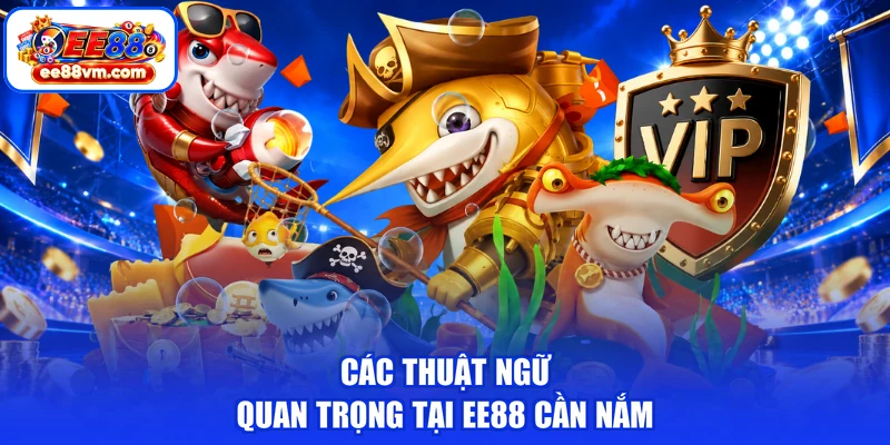Các thuật ngữ quan trọng tại EE88 cần nắm