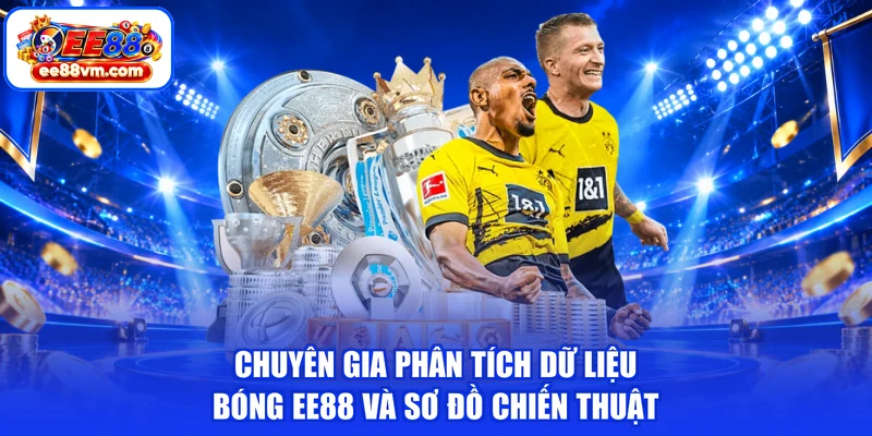 Chuyên gia phân tích dữ liệu bóng EE88 và sơ đồ chiến thuật
